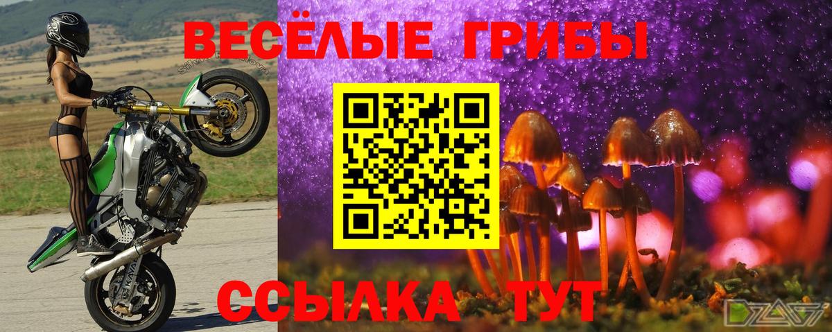 Галлюциногенные грибы Cubensis Дедовск