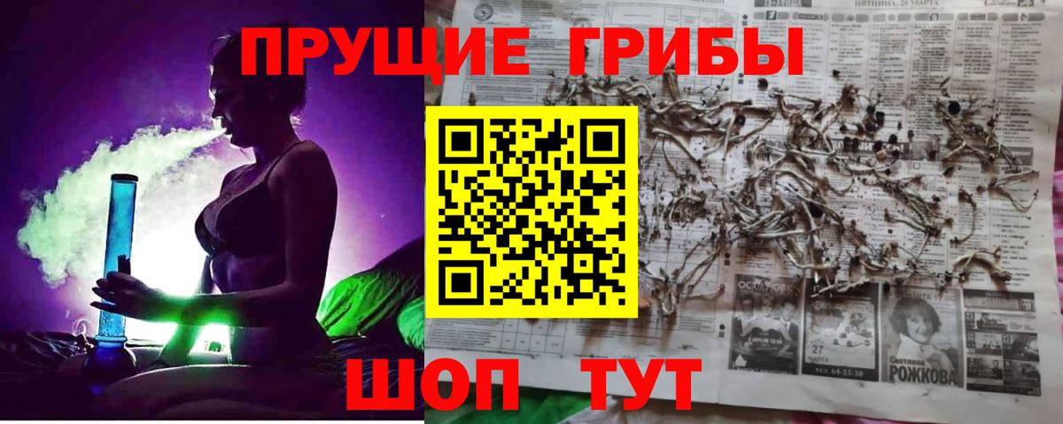 Дедовск  Псилоцибиновые грибы GOLDEN TEACHER  где купить наркотик  Вход с VPN 